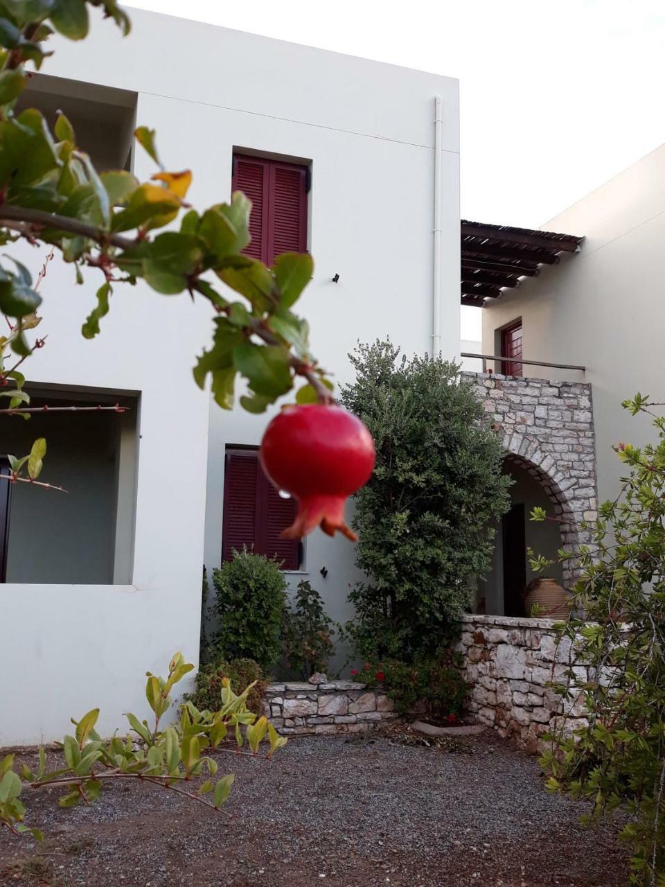 Vilana Studios Kalamos  Exterior photo